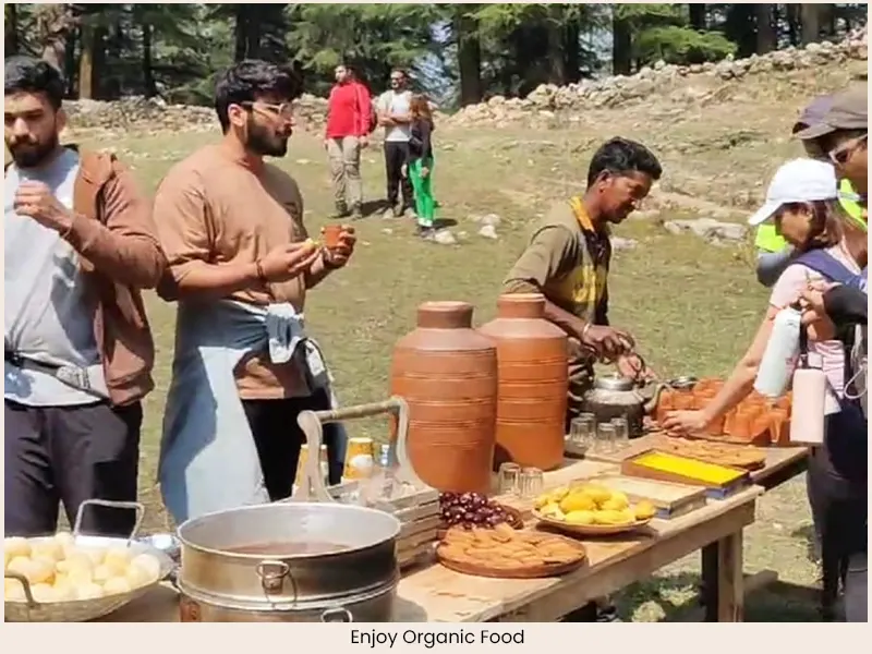 Enjoy Organic Food