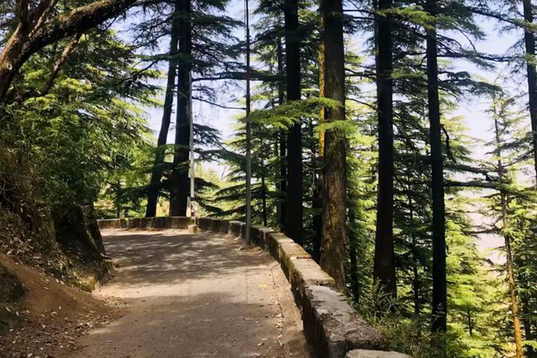 walk
