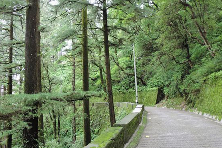 walking-in-landour